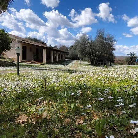 Agriturismo Bio Pian Dei Casali Сатурнія Екстер'єр фото