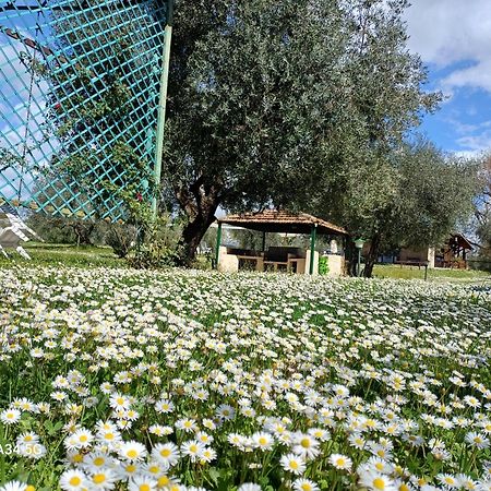 Agriturismo Bio Pian Dei Casali Сатурнія Екстер'єр фото