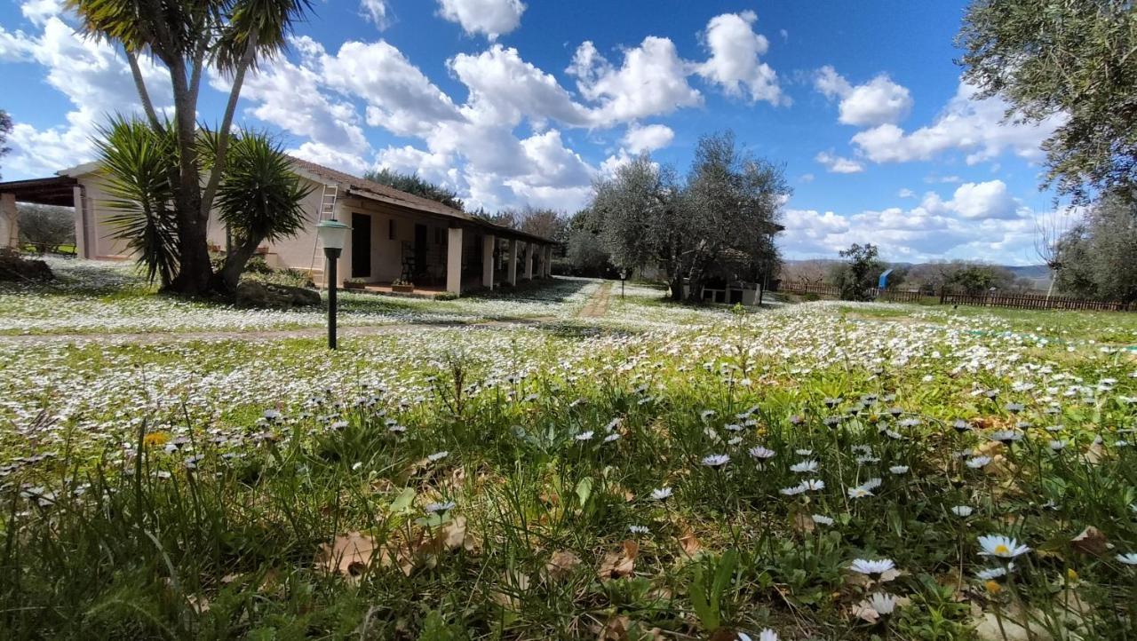 Agriturismo Bio Pian Dei Casali Сатурнія Екстер'єр фото