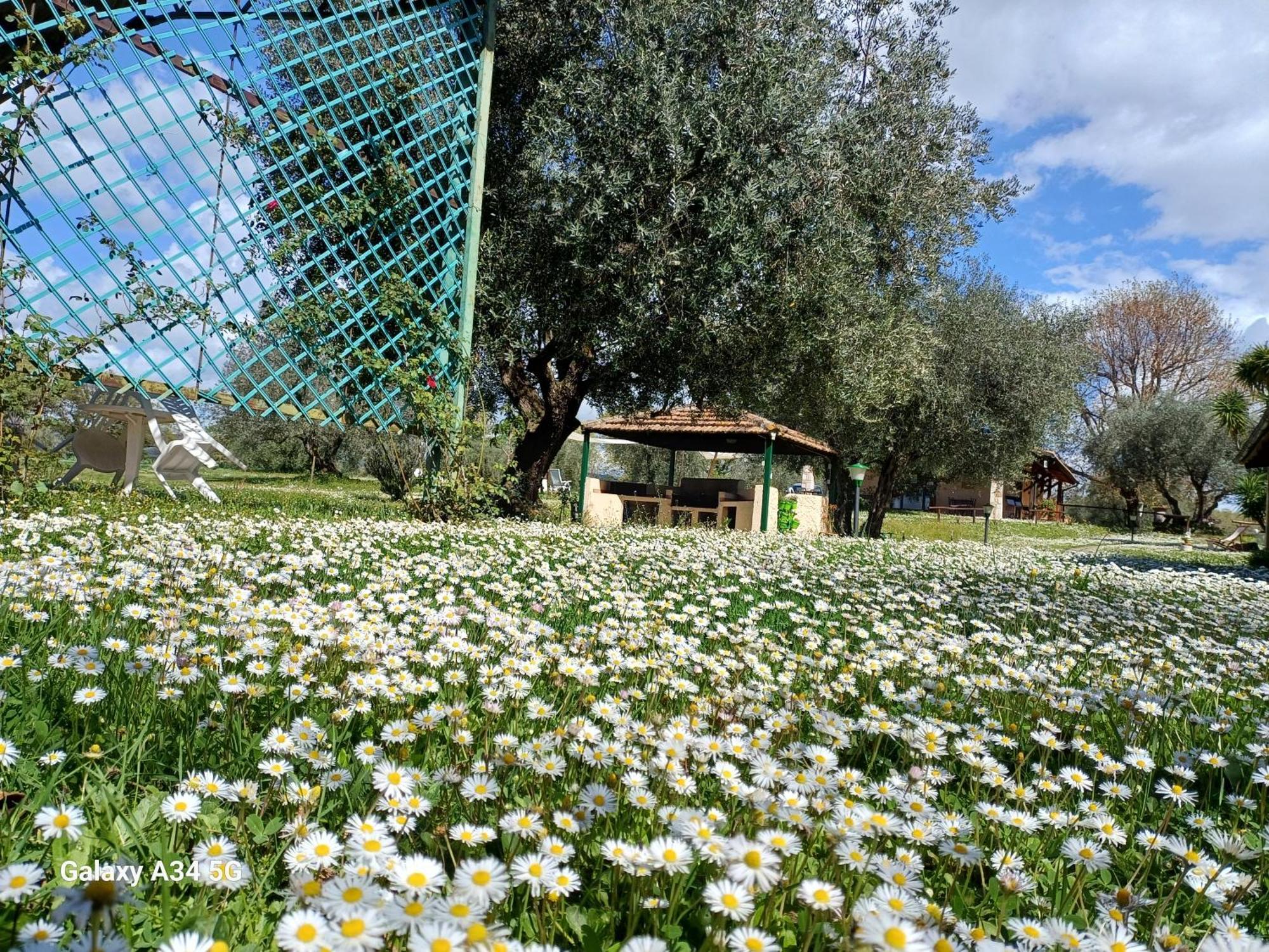 Agriturismo Bio Pian Dei Casali Сатурнія Екстер'єр фото