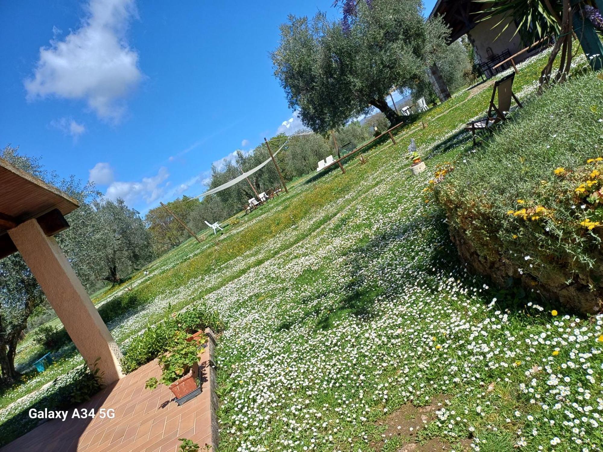 Agriturismo Bio Pian Dei Casali Сатурнія Екстер'єр фото