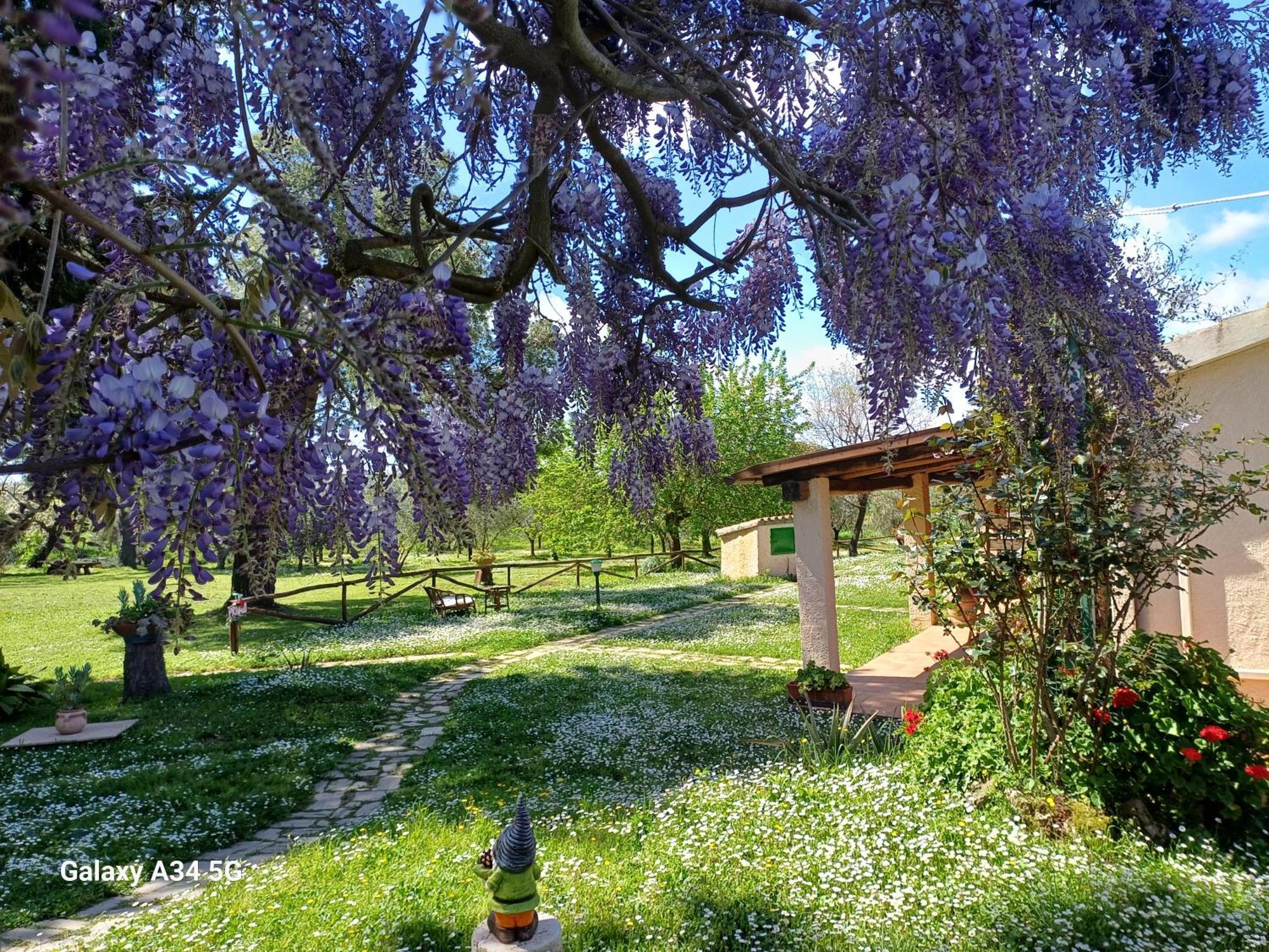 Agriturismo Bio Pian Dei Casali Сатурнія Екстер'єр фото