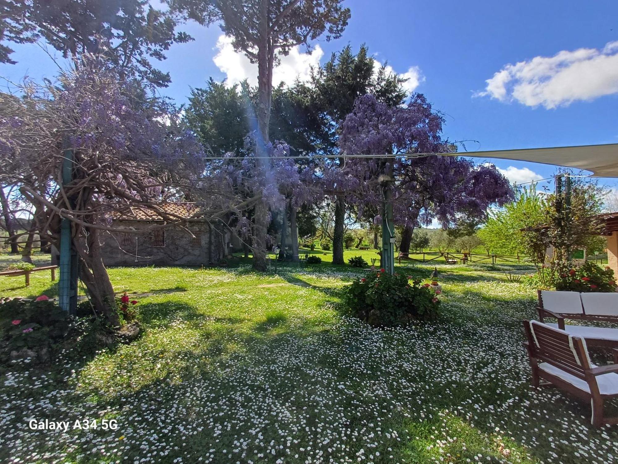 Agriturismo Bio Pian Dei Casali Сатурнія Екстер'єр фото