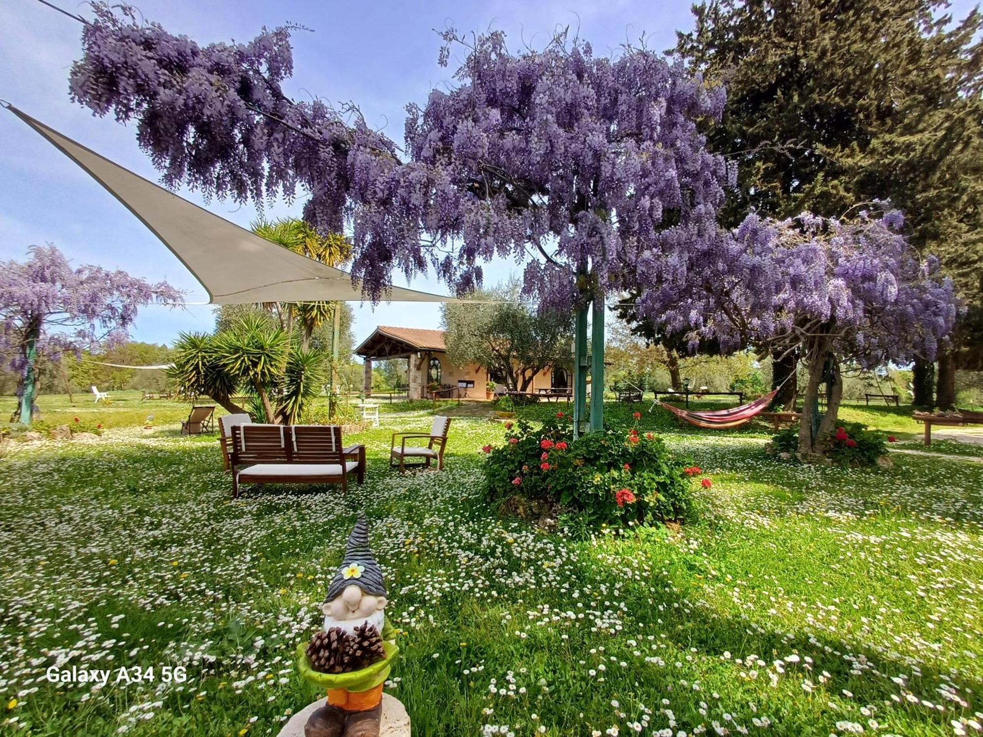 Agriturismo Bio Pian Dei Casali Сатурнія Екстер'єр фото